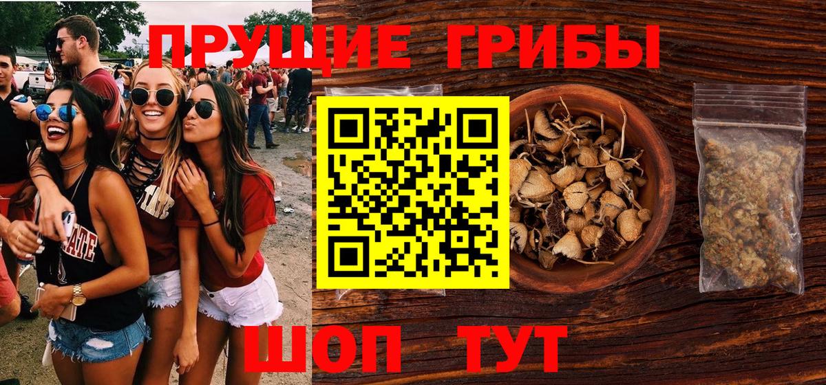 Галлюциногенные грибы Cubensis  продажа наркотиков  Тимашёвск  Вход с VPN 